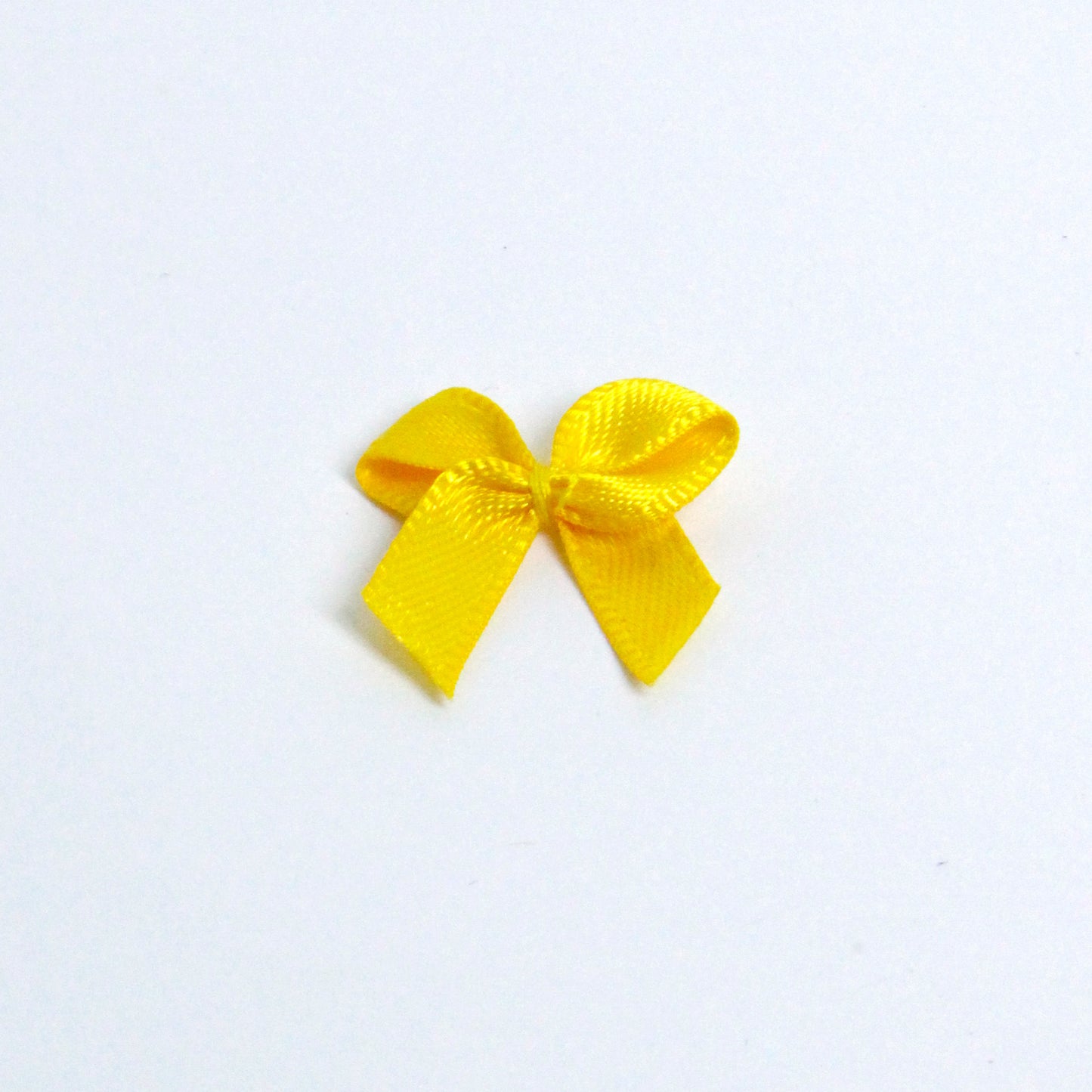 Mini Ribbon (Online)