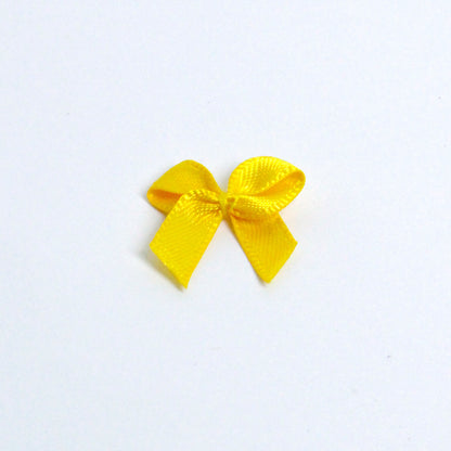 Mini Ribbon (Online)